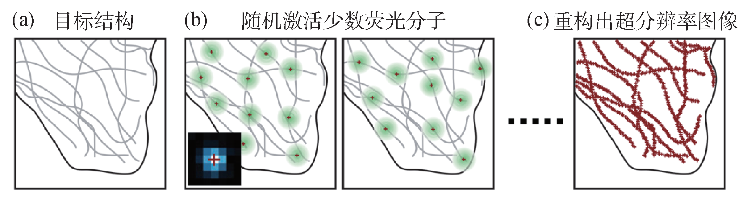 纳米分辨率光学显微成像