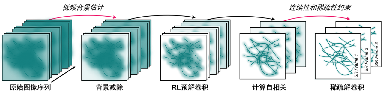 Nat. Photonics|荧光显微的原位超分辨引擎