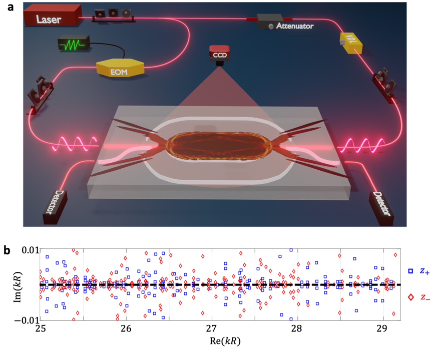 Nat. Phys. | 混沌光学微腔的相干调控