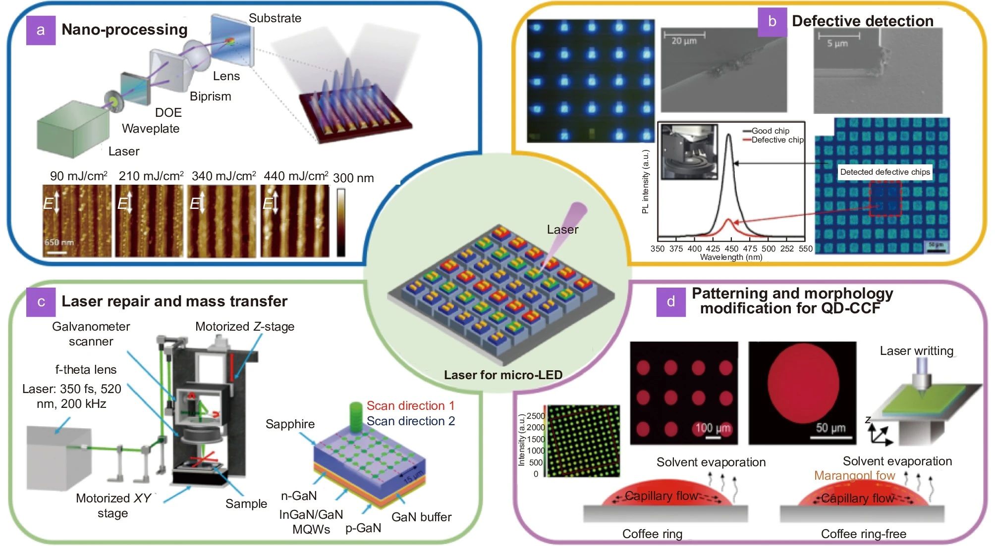 OES | 前沿激光应用：面向更低成本、更高效率micro-LED全彩显示制造【厦门大学和台湾阳明交通大学联合团队】