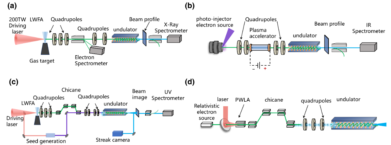 Photonics Insights封面 | 李儒新院士、田野研究员：自由电子光源