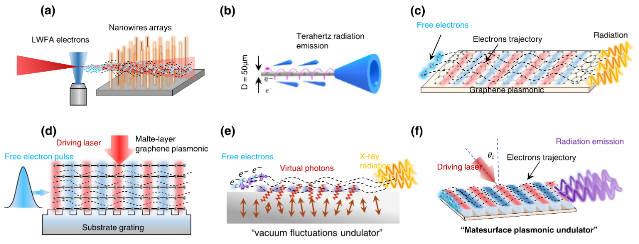 Photonics Insights封面 | 李儒新院士、田野研究员：自由电子光源