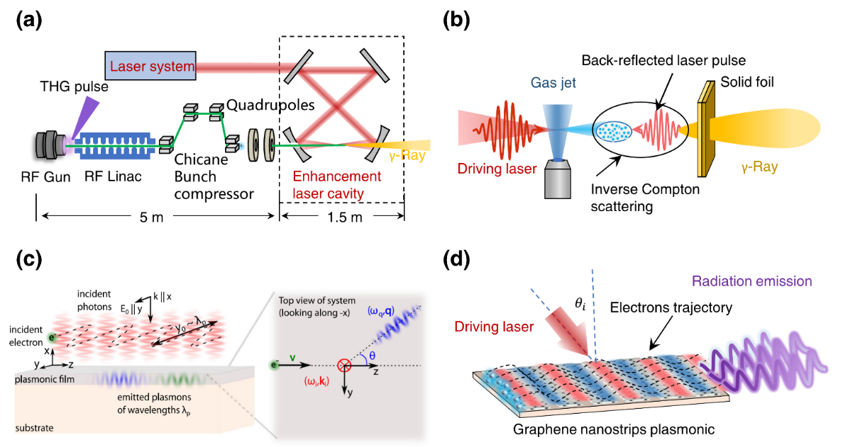 Photonics Insights封面 | 李儒新院士、田野研究员：自由电子光源