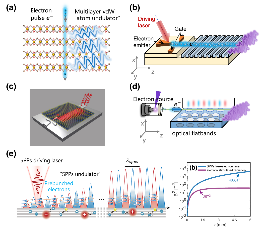 Photonics Insights封面 | 李儒新院士、田野研究员：自由电子光源