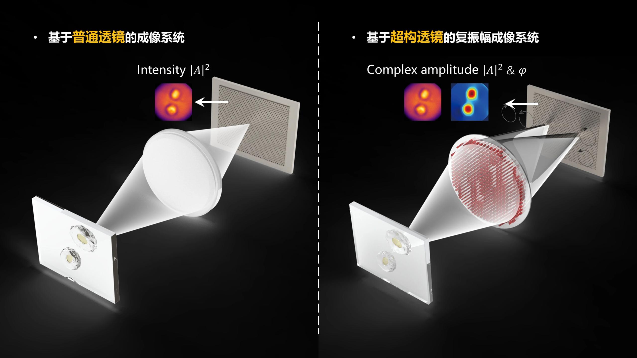 成像专题 | 超构透镜技术助力快照式复振幅成像 (Sci. Advances)