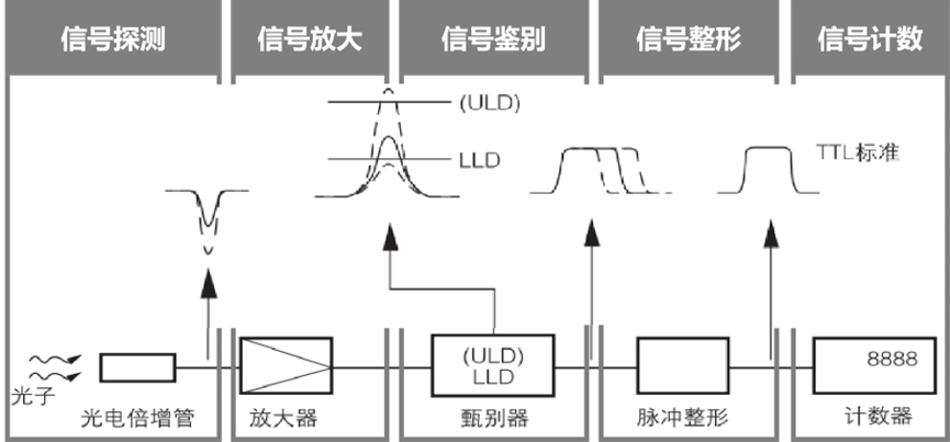 光电倍增管才是单光子探测的yyds