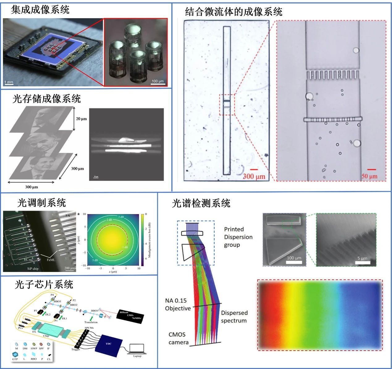 Light Adv. Manuf. | 飞秒激光直写微光学元件和立体系统