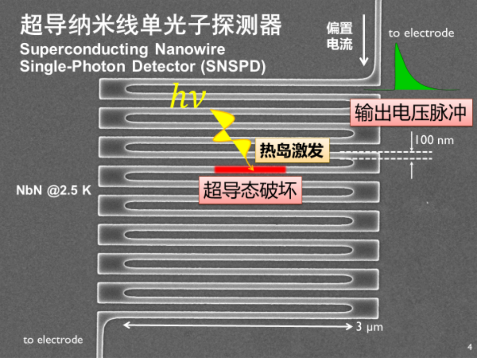 Light: Gbps单光子通信 | 超导探测显神威