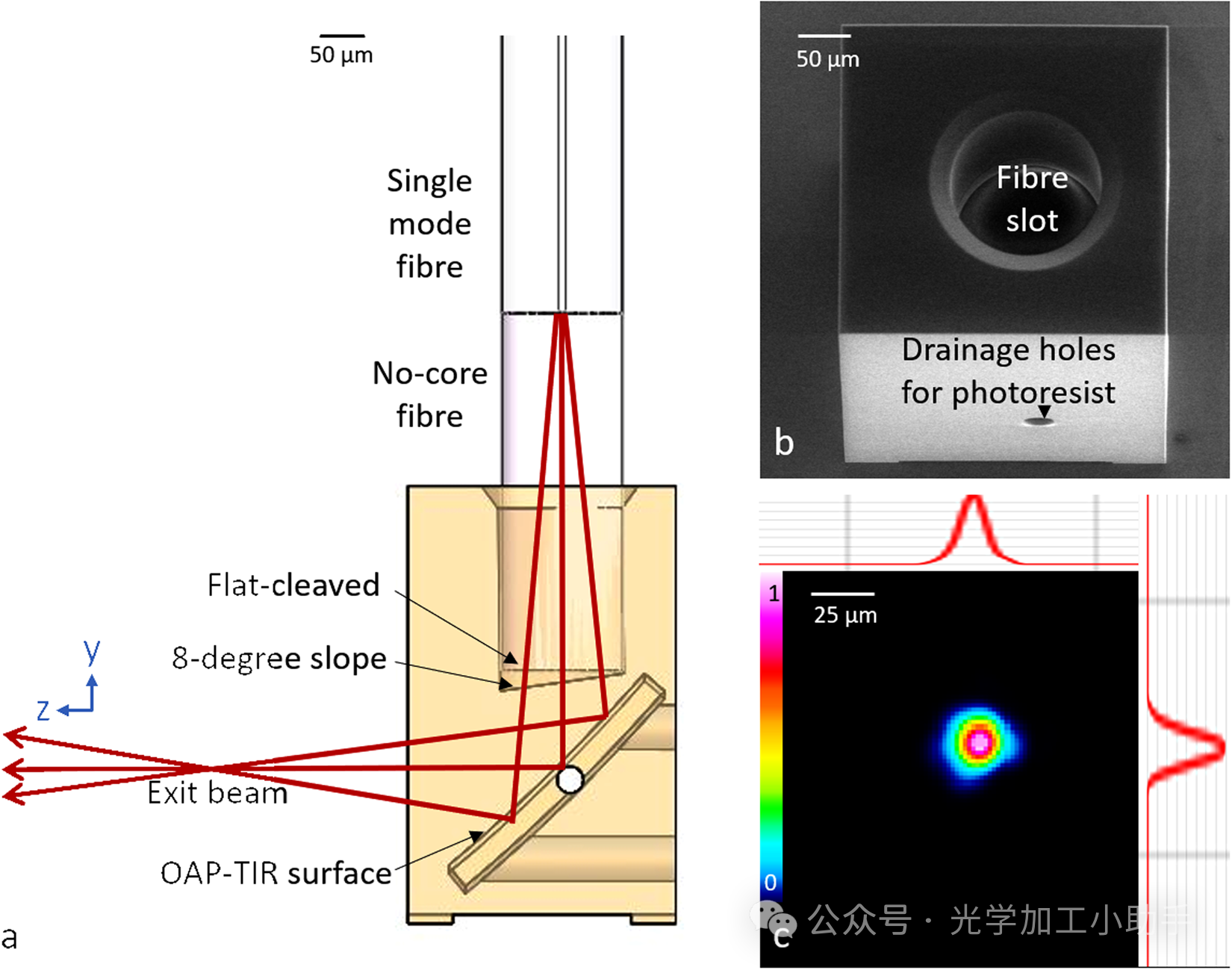 双光子3d打印--用于光学相干断层扫描光纤探针的双光子聚合 3D 打印自由曲面微光学器件