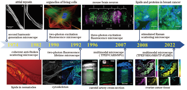 封面 | 生物体多维成像“利器”：多模态非线性光学显微成像技术