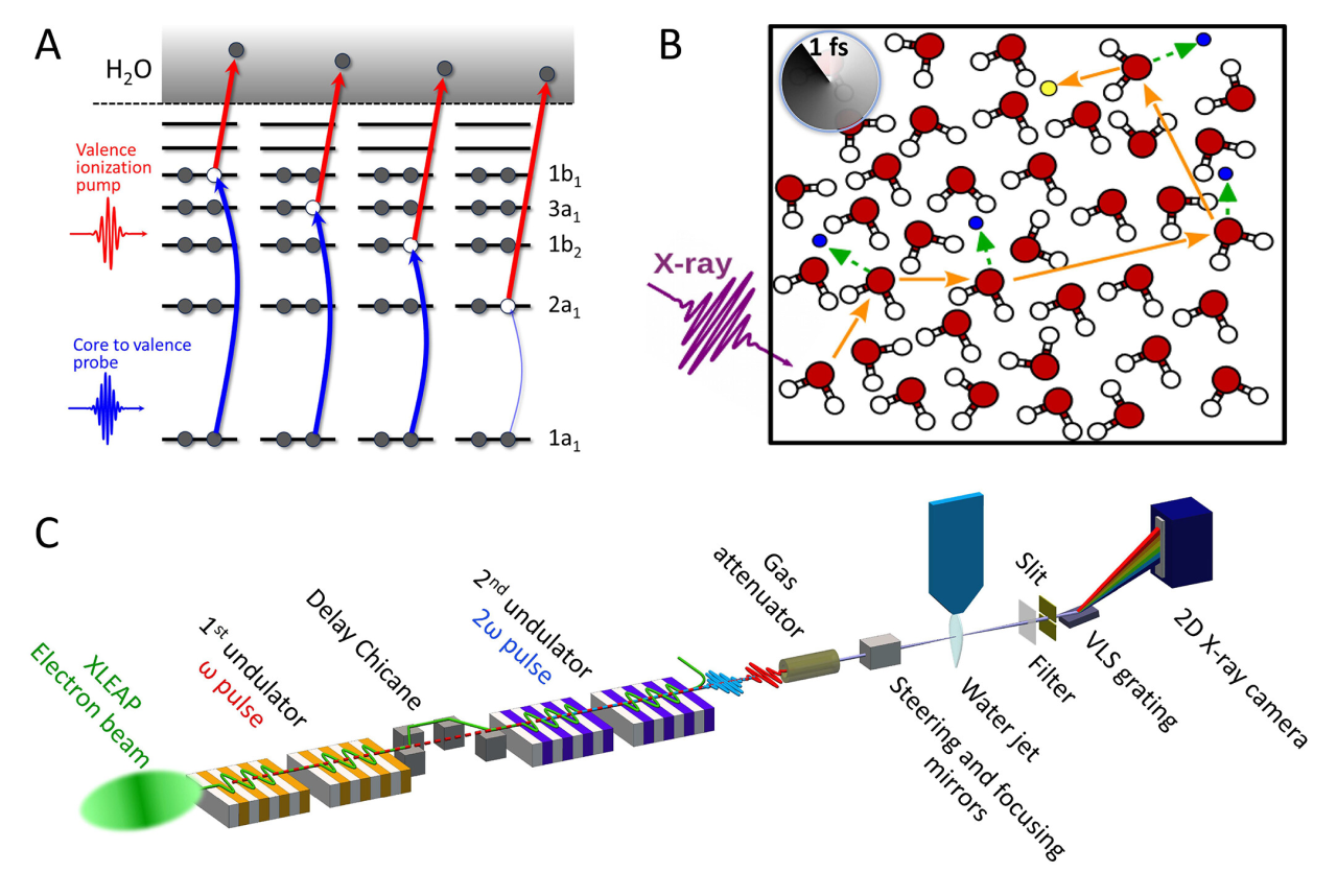 量子革命！阿秒技术揭开液态水与有机分子深层结构之谜