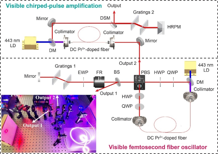 可见光飞秒光纤振荡器及放大器 | Adv. Photon. Nexus