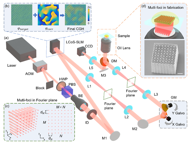 中科大吴东教授团队《Nano Letters》：高速扫描全息多焦点实现高通量双光子聚合3D打印