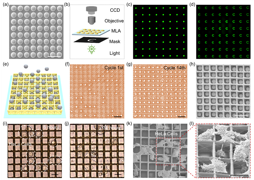 中科大吴东教授团队《Nano Letters》：高速扫描全息多焦点实现高通量双光子聚合3D打印