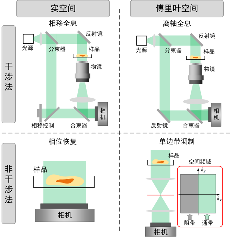 Light | 基于全息术的定量相位成像：趋势和展望