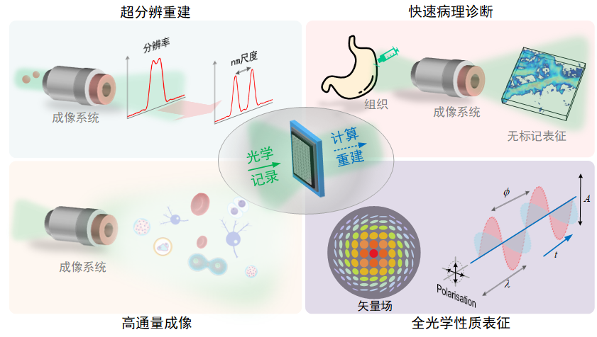 Light | 基于全息术的定量相位成像：趋势和展望