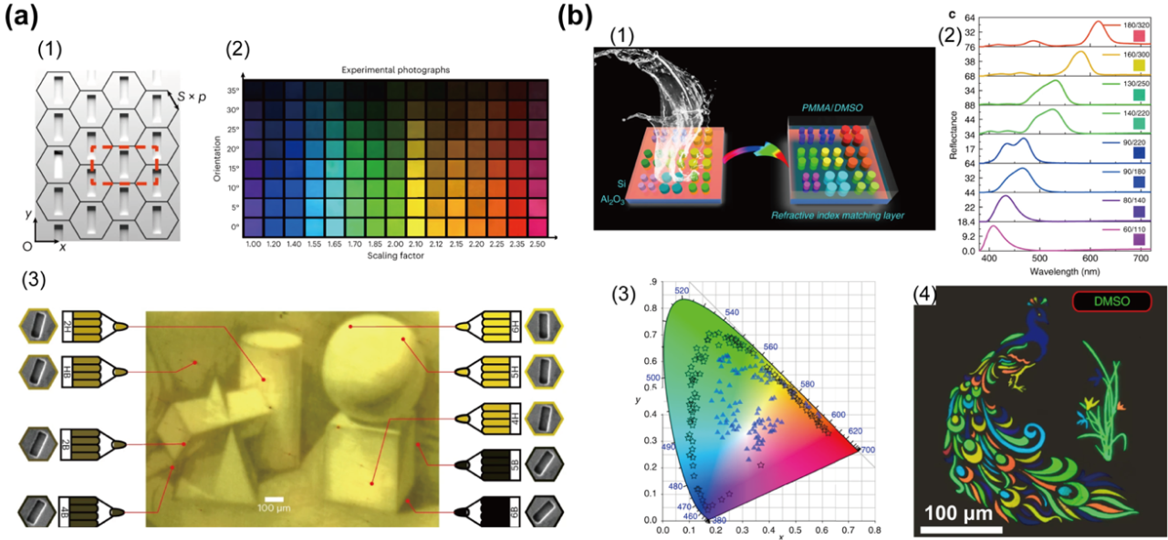 Photonics Insights封面 | 肖淑敏教授/宋清海教授：结构色研究进展