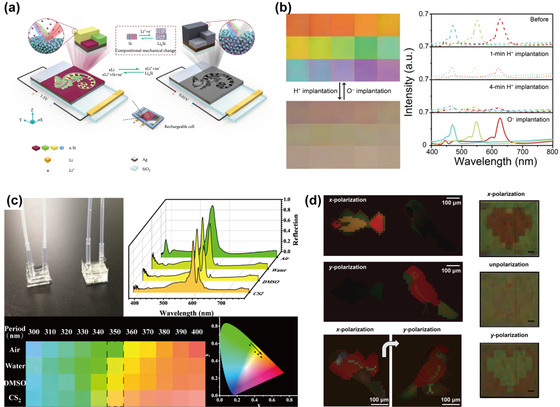 Photonics Insights封面 | 肖淑敏教授/宋清海教授：结构色研究进展